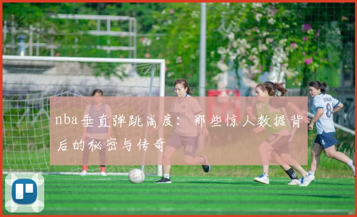 nba垂直弹跳高度：那些惊人数据背后的秘密与传奇