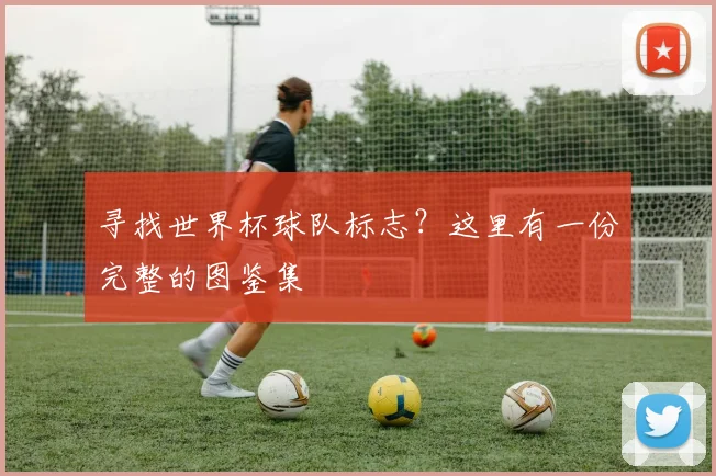 寻找世界杯球队标志？这里有一份完整的图鉴集