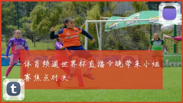 体育频道世界杯直播今晚带来小组赛焦点对决