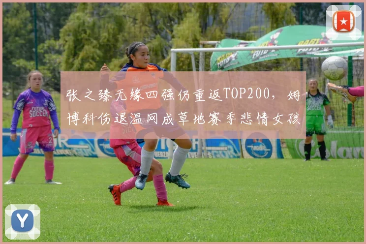 张之臻无缘四强仍重返TOP200，姆博科伤退温网成草地赛季悲情女孩