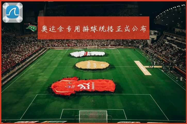 奥运会专用排球规格正式公布