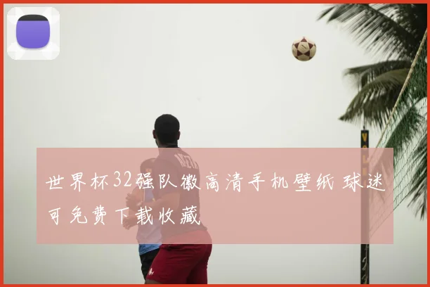 世界杯32强队徽高清手机壁纸 球迷可免费下载收藏