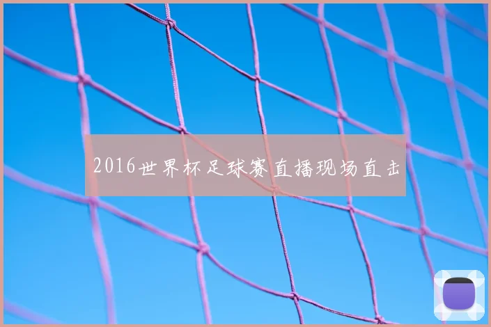 2016世界杯足球赛直播现场直击