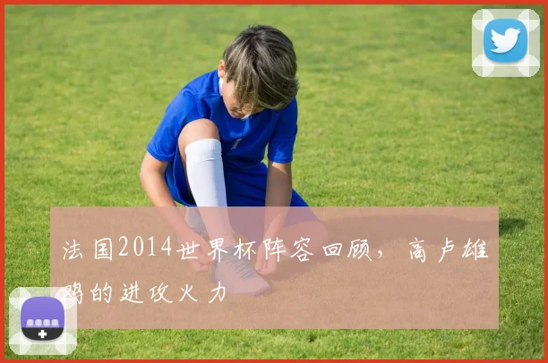 法国2014世界杯阵容回顾,高卢雄鸡的进攻火力