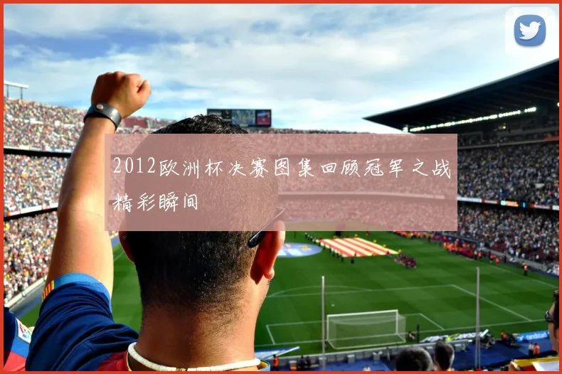2012欧洲杯决赛图集回顾冠军之战精彩瞬间