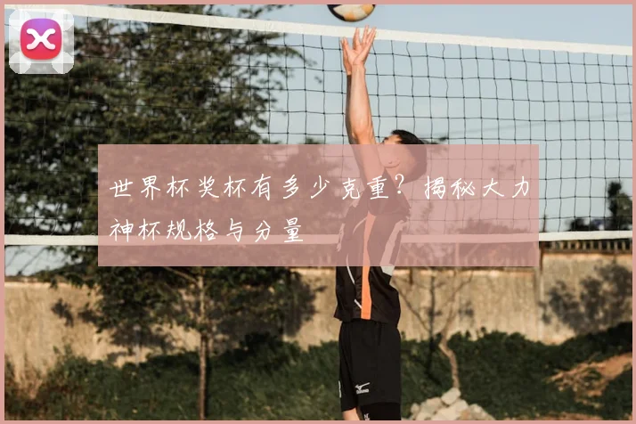 世界杯奖杯有多少克重？揭秘大力神杯规格与分量