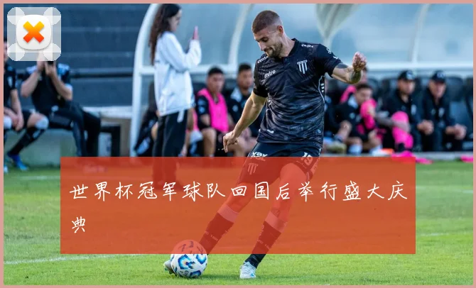世界杯冠军球队回国后举行盛大庆典