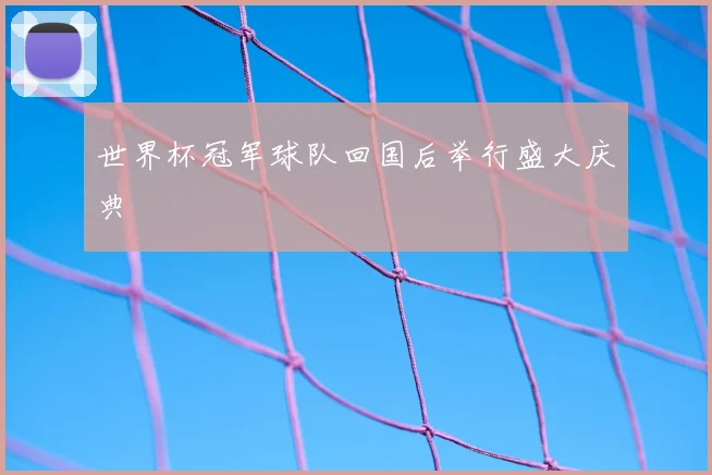 世界杯冠军球队回国后举行盛大庆典