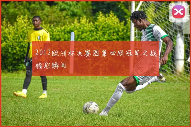 2012欧洲杯决赛图集回顾冠军之战精彩瞬间