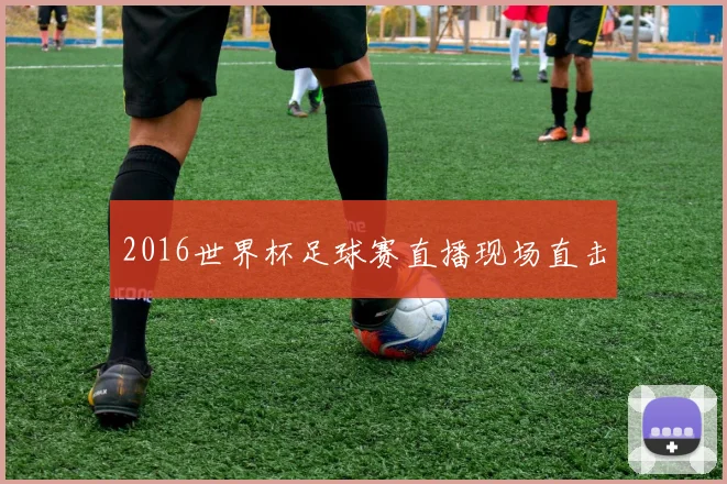 2016世界杯足球赛直播现场直击