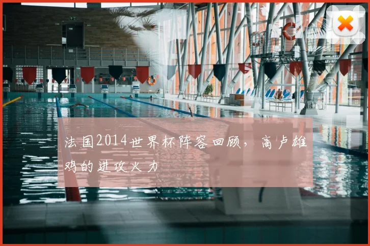 法国2014世界杯阵容回顾,高卢雄鸡的进攻火力
